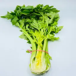 Celery